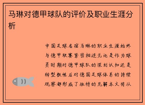马琳对德甲球队的评价及职业生涯分析