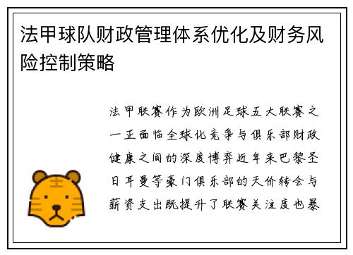 法甲球队财政管理体系优化及财务风险控制策略