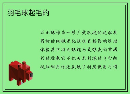 羽毛球起毛的